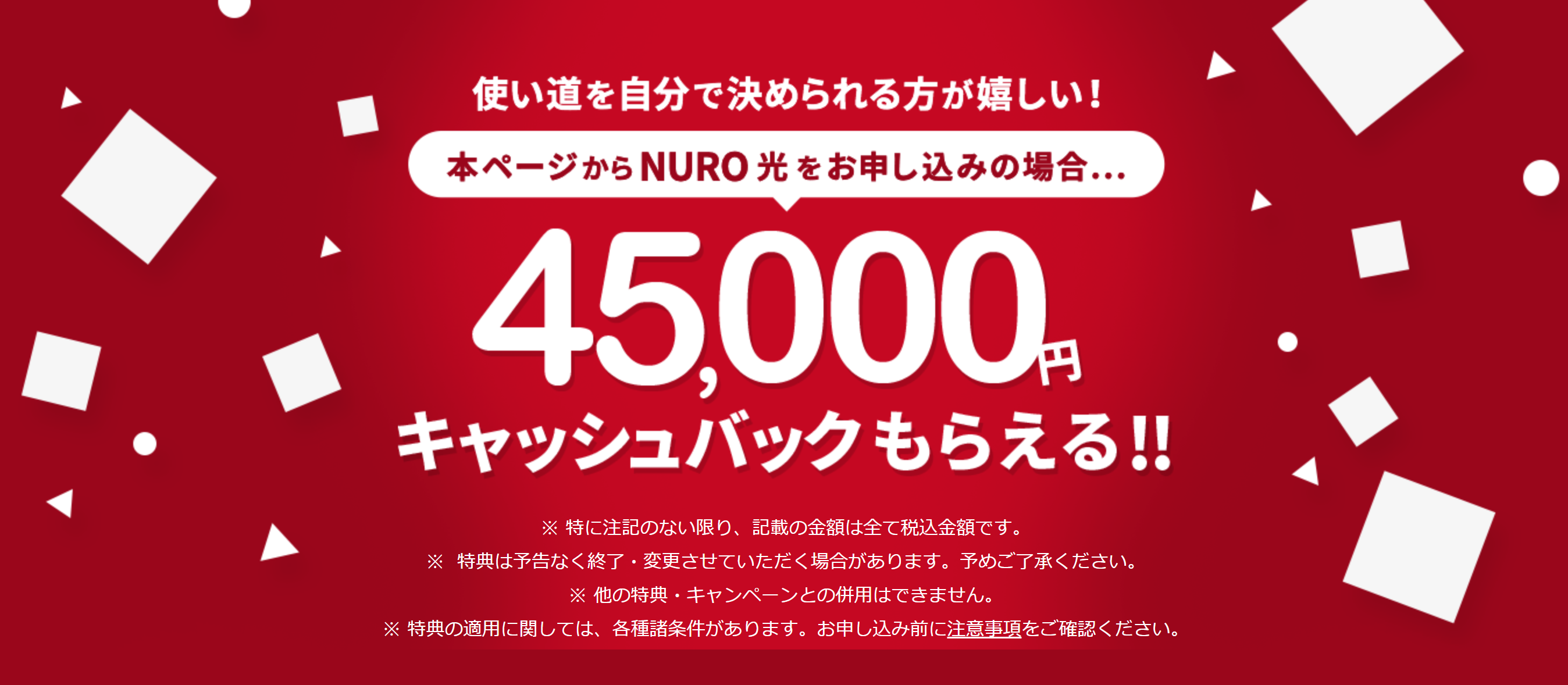 NURO光　キャッシュバック　45000円